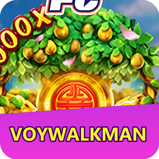 Verificação KYC VOYWALKMAN